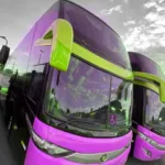 Ônibus MARCOPOLO PARADISO DD NEW G7 K400 JM 2019 seminovo à venda, código 1292 - foto 01