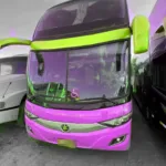 Ônibus MARCOPOLO PARADISO DD NEW G7 K400 JM 2019 seminovo à venda, código 1292 - foto 02