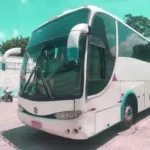 Ônibus MARCOPOLO PARADISO G6 1200 K310 JM 2009 seminovo à venda, código 1622 - foto 02