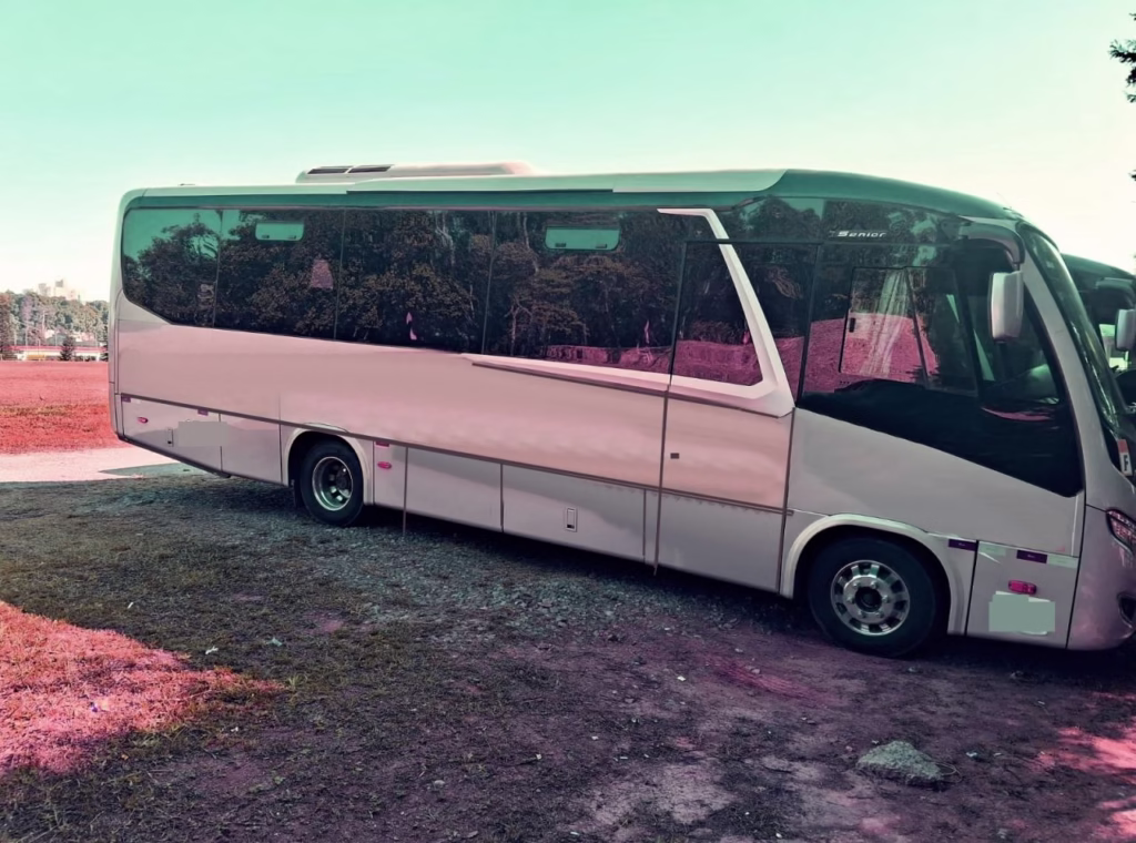 MARCOPOLO SENIOR NEW G7 ANO 2019 VW 9.160 JM COD.178