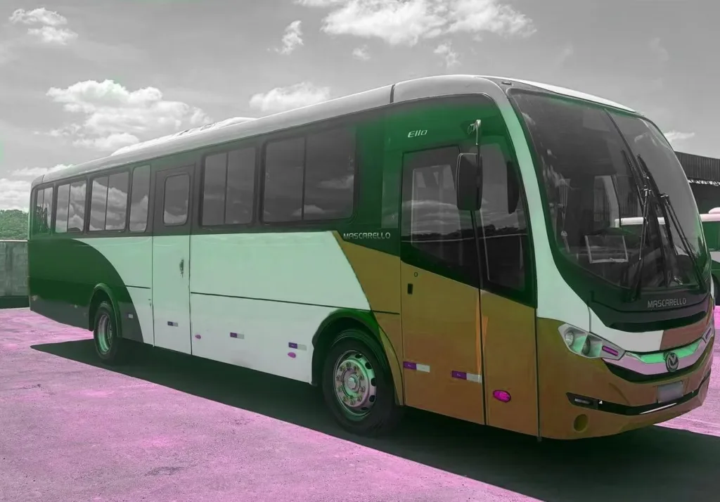 Ônibus MASCARELLO ELLO VW 17.230 JM 2020 seminovo à venda, código 1425 - foto 01