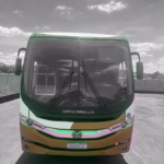 MASCARELLO ELLO ANO 2020 VW 17.230 JM COD.1425