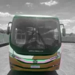Ônibus MASCARELLO ELLO VW 17.230 JM 2020 seminovo à venda, código 1425 - foto 02