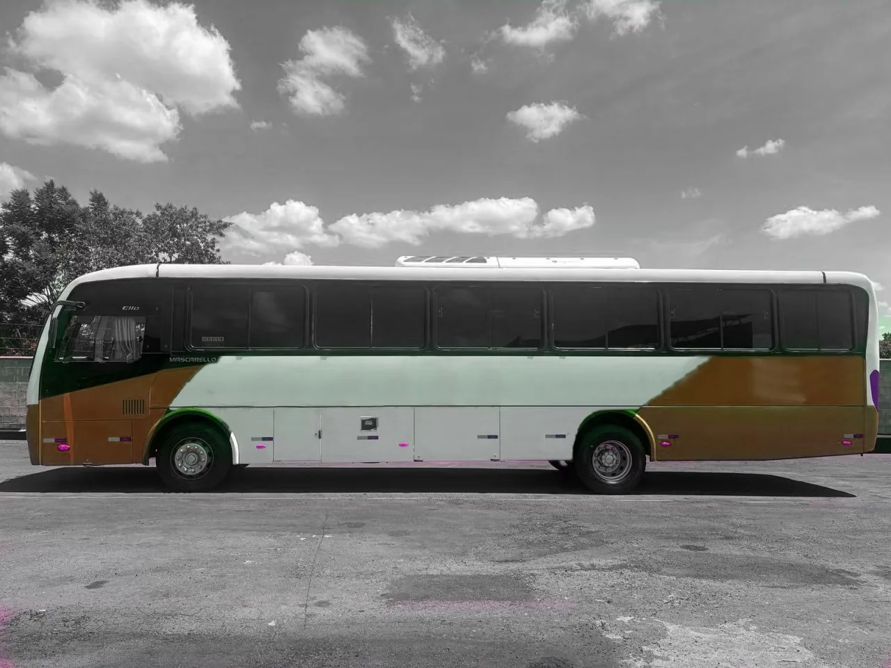 Ônibus MASCARELLO ELLO VW 17.230 JM 2020 seminovo à venda, código 1425 - foto 05