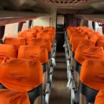 Ônibus COMIL CAMPIONE LD HD O500 RSD JM 2020 seminovo à venda, código 147 - foto 06
