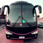 Ônibus IRIZAR I6 VOLVO B11R JM 2013 seminovo à venda, código 599 - foto 02