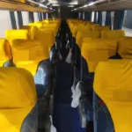 Ônibus MARCOPOLO PARADISO 1200 G6 K 310 JM 2008 seminovo à venda, código 345 - foto 04