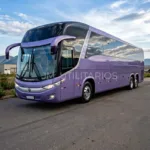 Ônibus Marcopolo Paradiso 1200 G7 Scania K380 2011 seminovo à venda, código 479 - foto 03